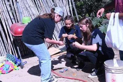 DSC_2045 (Large).JPG